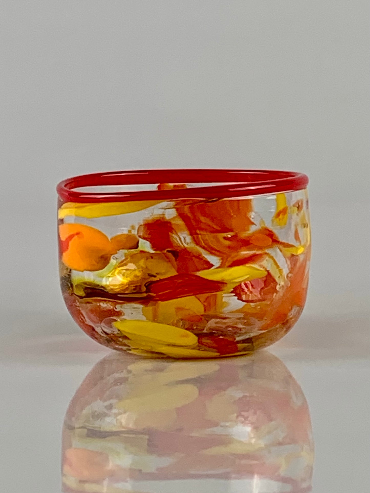 Zero Waste Dog Bowl