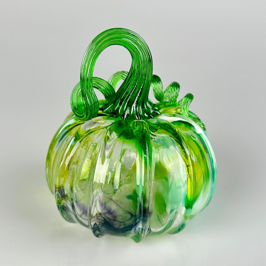 Color Medley Pumpkins (medium)
