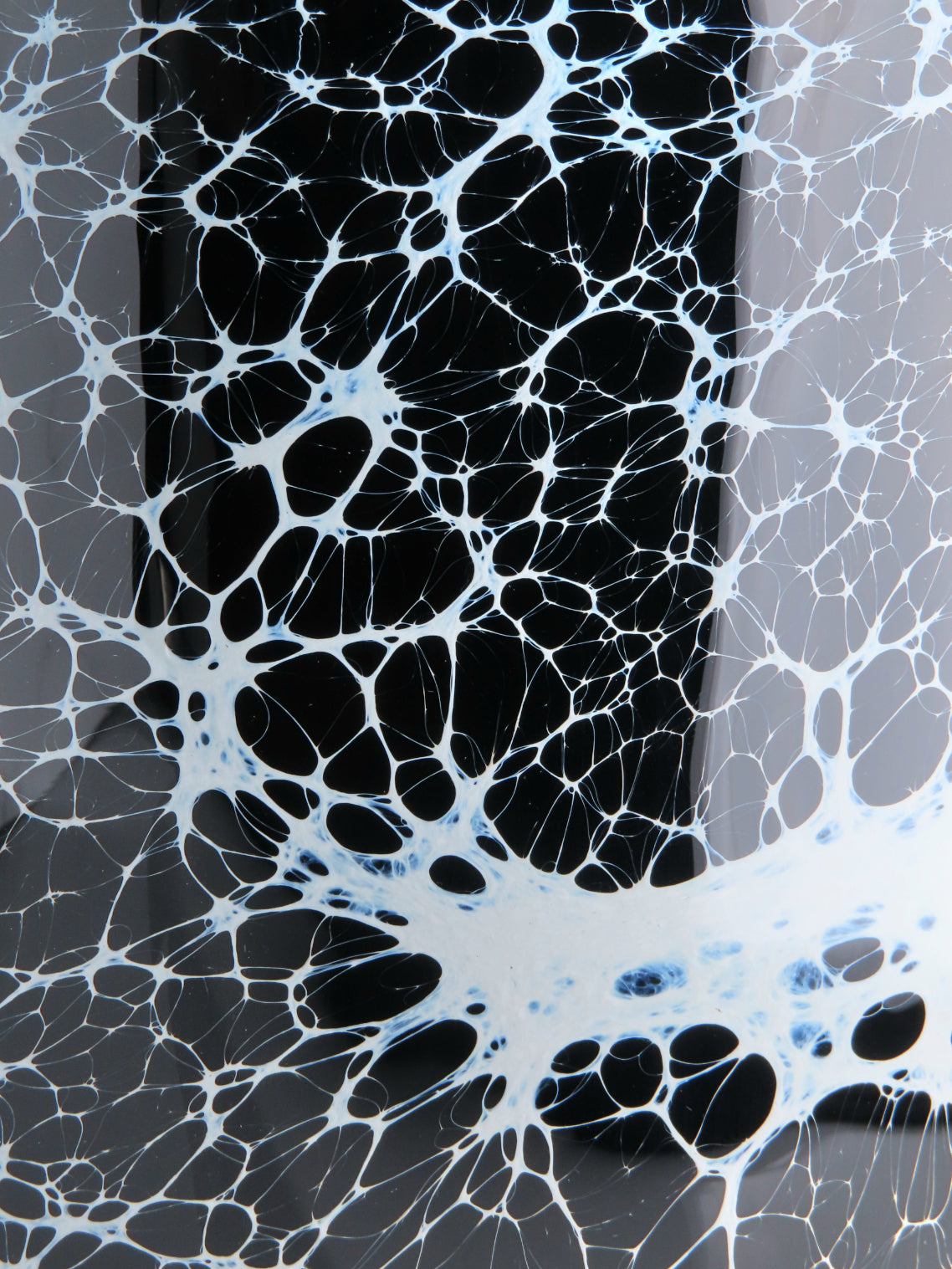 A close-up of planter with a black surface covered with a white spiderweb pattern.