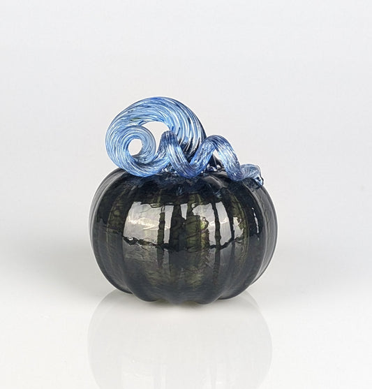 Blue Blight Pumpkin