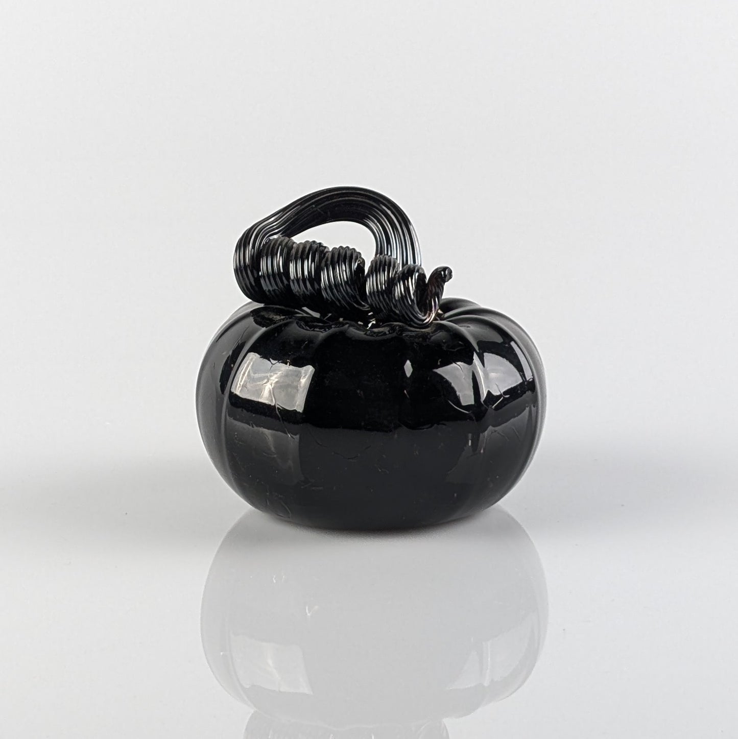 Blackest Black Pumpkin